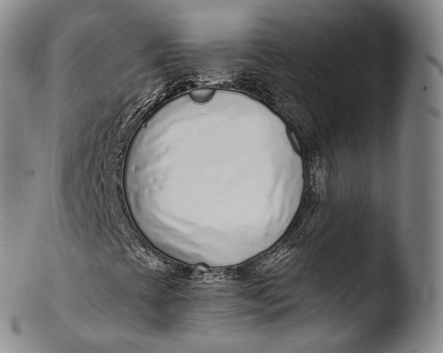 X0000103441393200809261743
