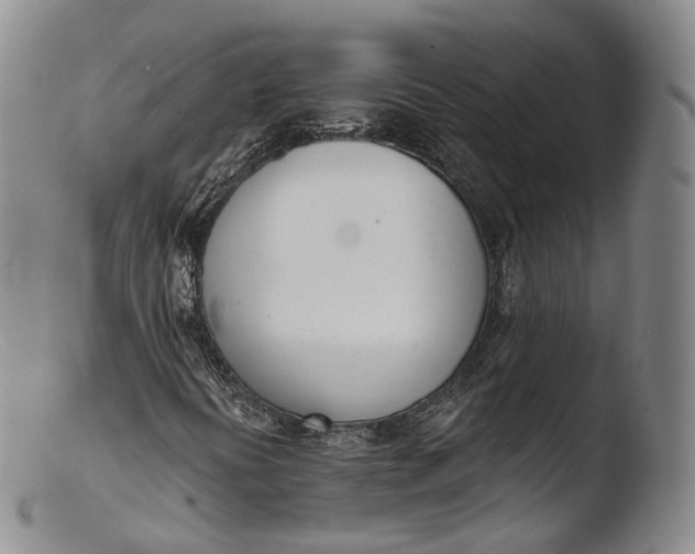 X0000103441394200809261743