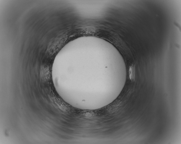 X0000103441395200809261743
