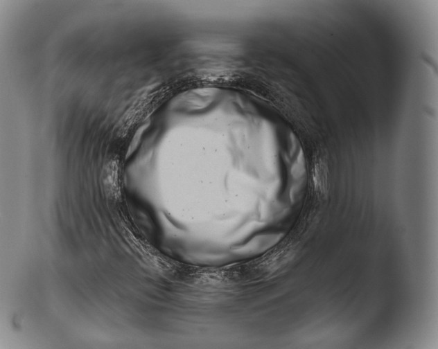 X0000103441396200809261743