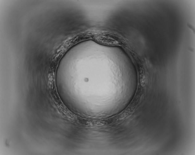 X0000103441397200809261743