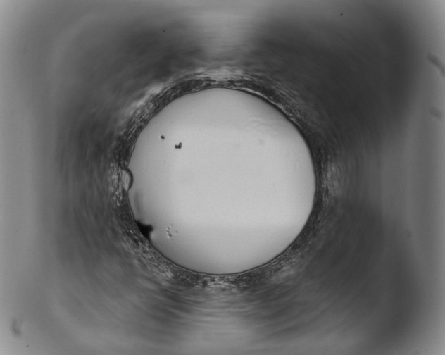 X0000103441398200809261743