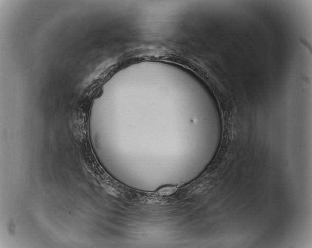 X0000103441399200809261743