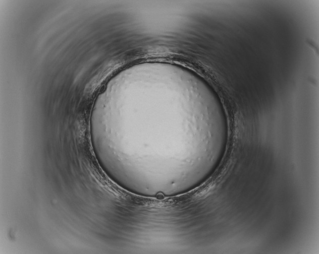 X0000103441401200809261743