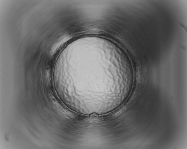 X0000103441402200809261743