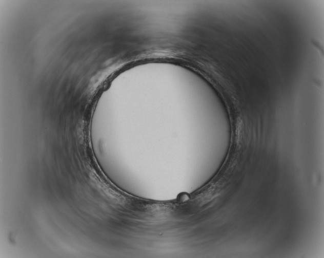 X0000103441404200809261743