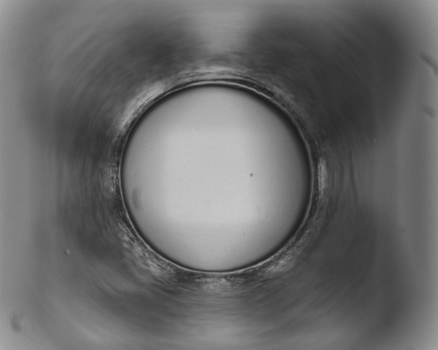X0000103441405200809261743