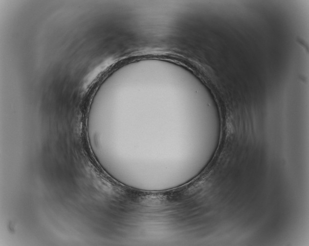 X0000103441406200809261743
