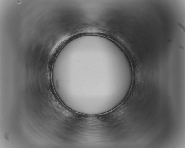 X0000103441408200809261744