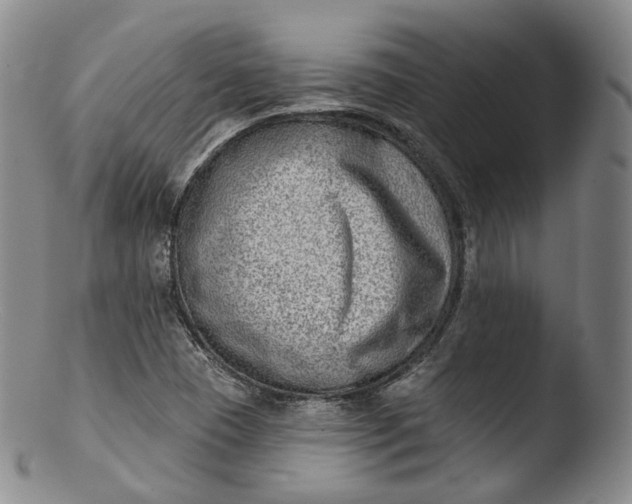 X0000103441409200809261744