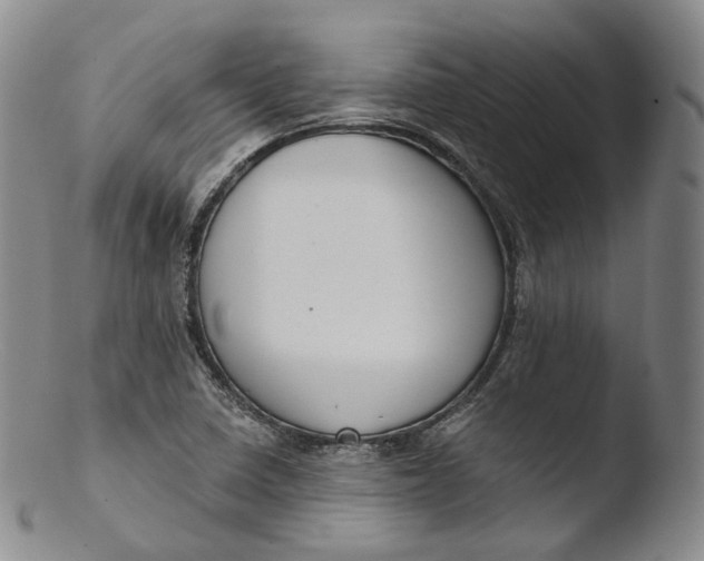 X0000103441410200809261744