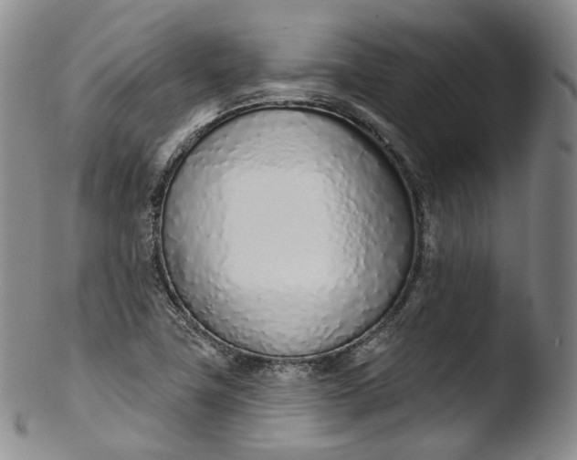 X0000103441411200809261744