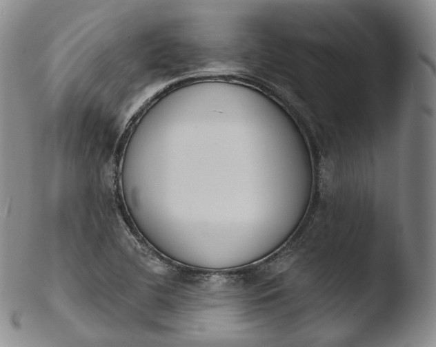 X0000103441412200809261744