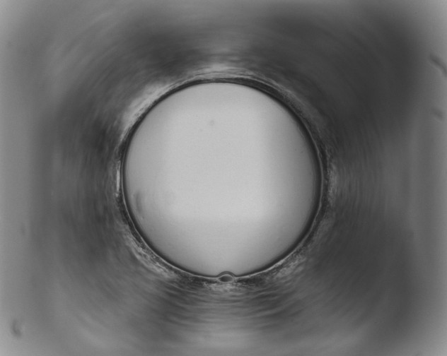 X0000103441413200809261744
