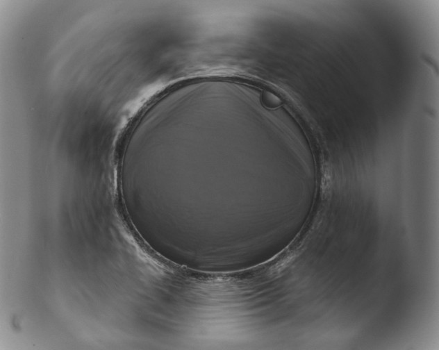 X0000103441414200809261744