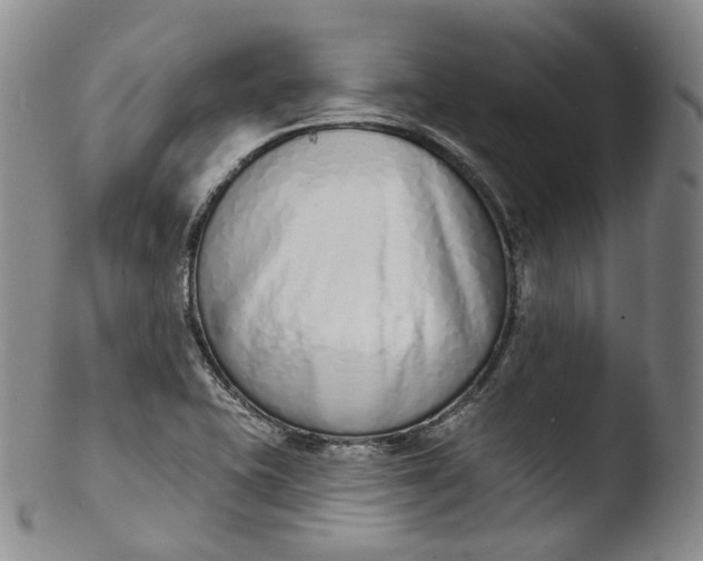 X0000103441415200809261744