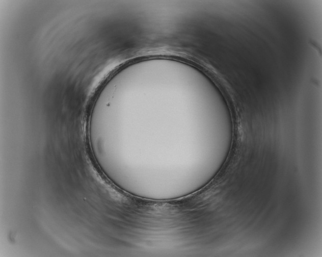 X0000103441416200809261744