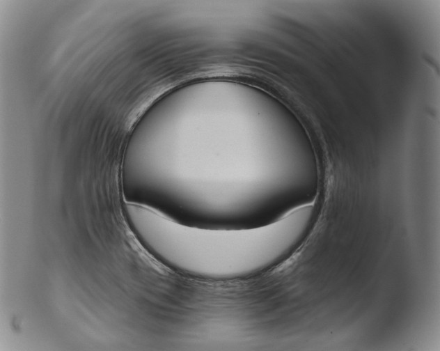 X0000103441417200809261744