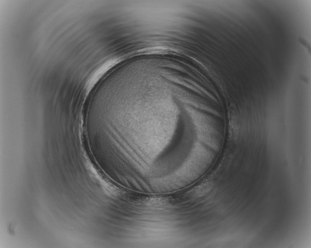 X0000103441418200809261744