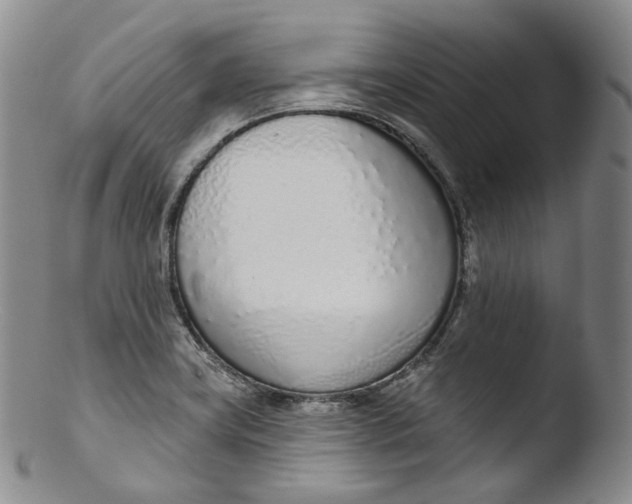X0000103441419200809261744