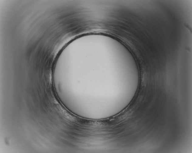 X0000103441420200809261744