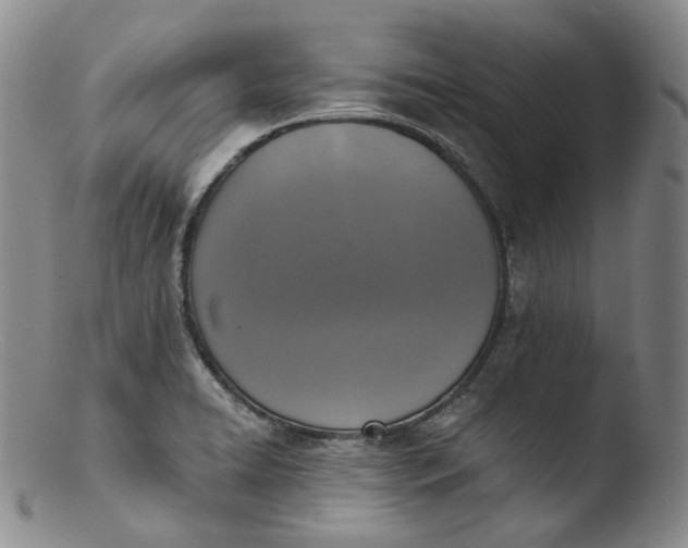 X0000103441422200809261744