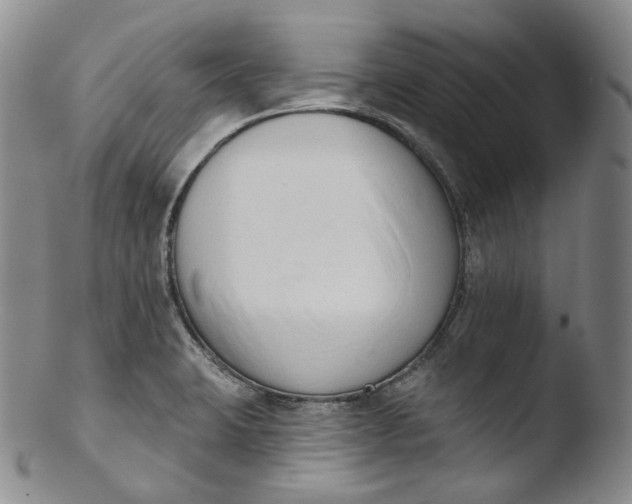X0000103441423200809261744