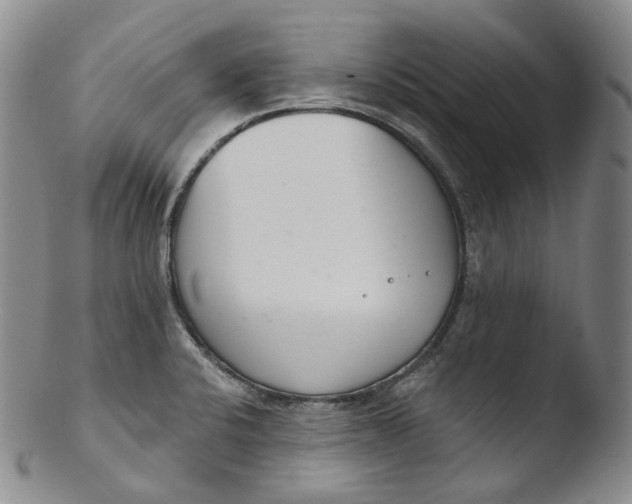 X0000103441424200809261744