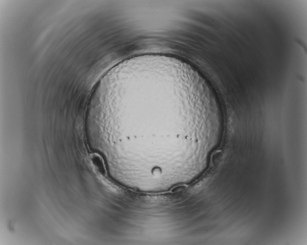 X0000103441425200809261744