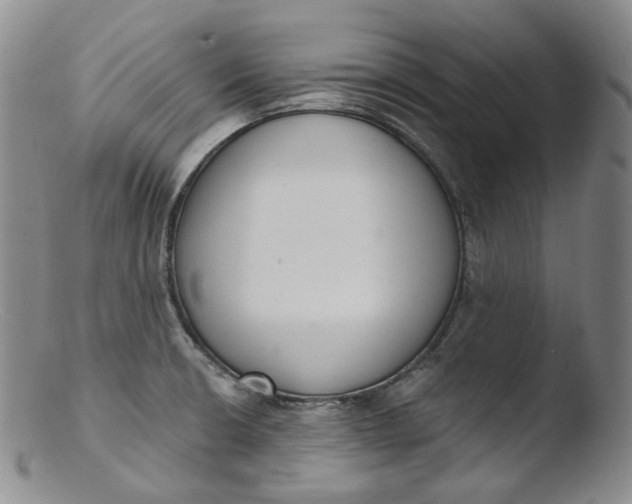 X0000103441426200809261744
