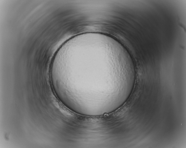 X0000103441427200809261744