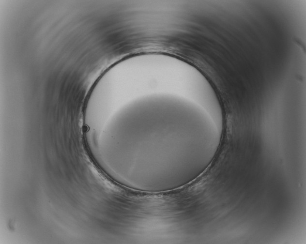 X0000103441428200809261744
