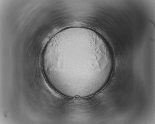 X0000103441429200809261744