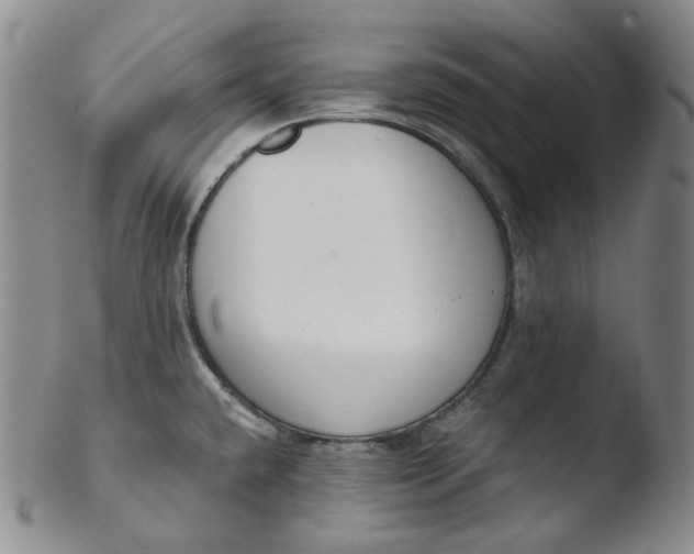 X0000103441432200809261744