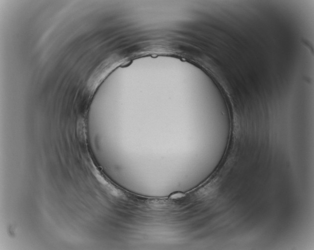 X0000103441433200809261744