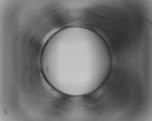 X0000103441434200809261744