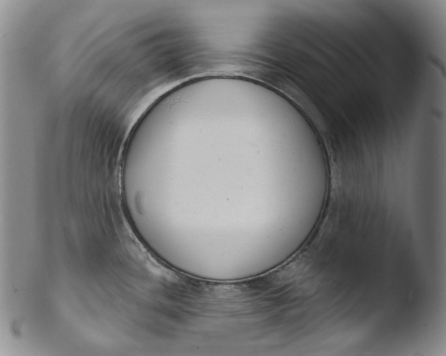 X0000103441436200809261744