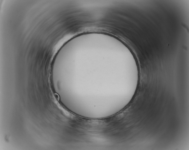 X0000103441437200809261744