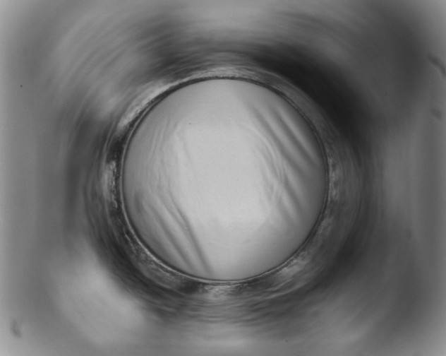 X0000103441438200809261744