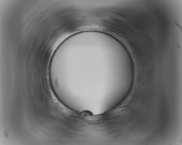 X0000103441440200809261744