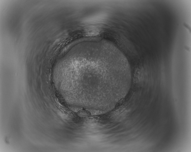 X0000103441441200809261743