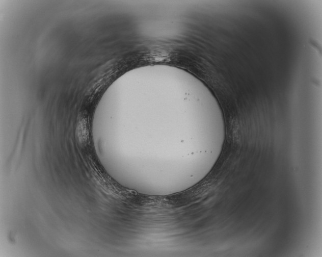 X0000103441442200809261743