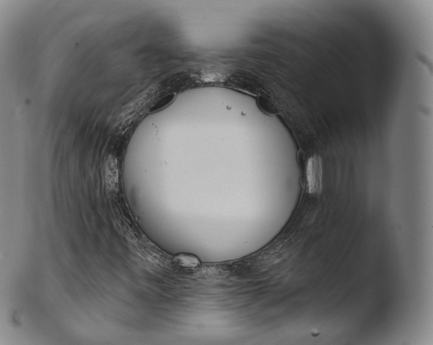 X0000103441443200809261743