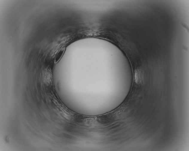X0000103441444200809261743