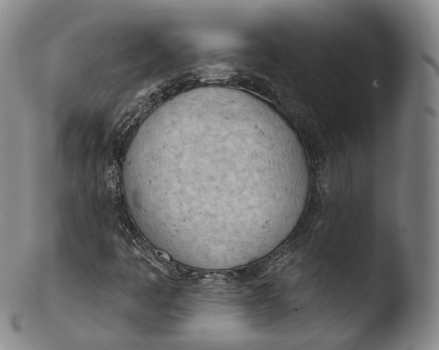 X0000103441445200809261743