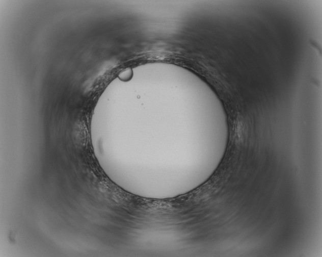 X0000103441446200809261743