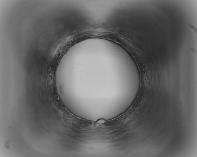 X0000103441447200809261743