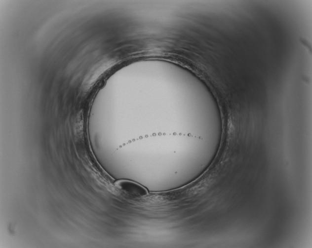 X0000103441450200809261743