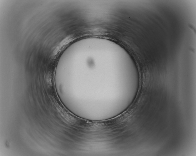 X0000103441451200809261743