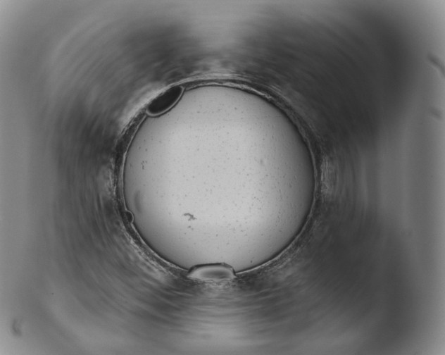X0000103441452200809261743